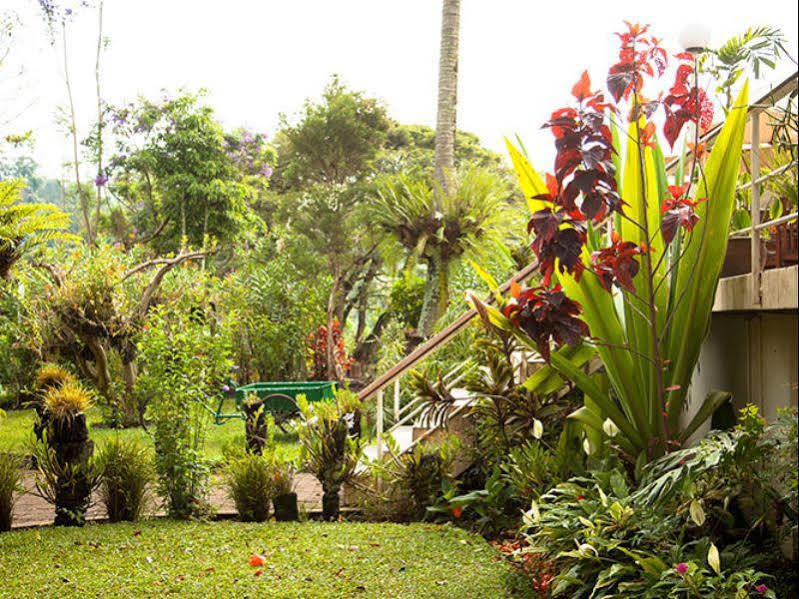 Bird Of Paradise Hotel Goroka Exteriér fotografie